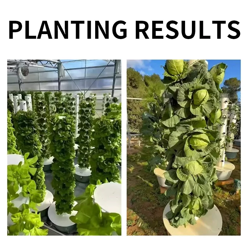 Hydroponic Kit - Sistema de Kit de Cultivo Hidropônico