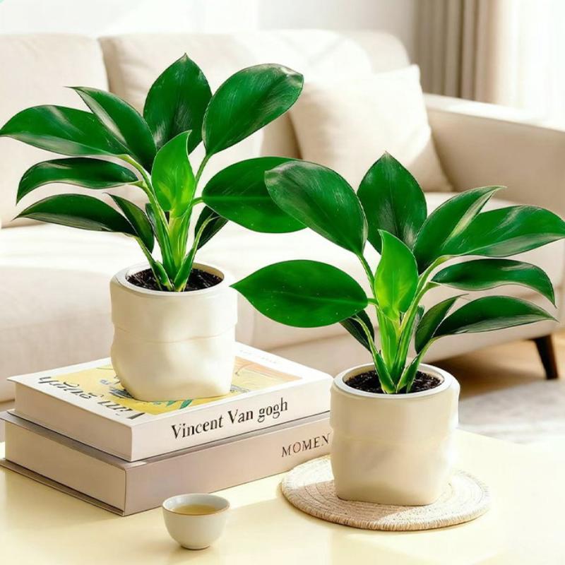 Plant Pot - Mini vaso autoirrigável para flores, aquário,