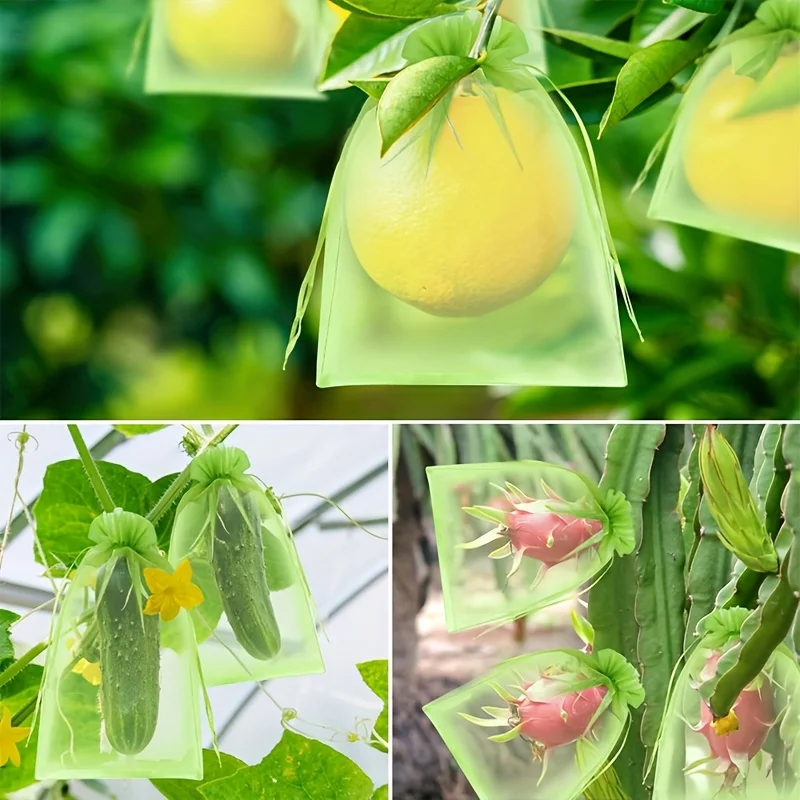 100 Peças de Saco Protetor Ver - Grow Bag avaliação e preço