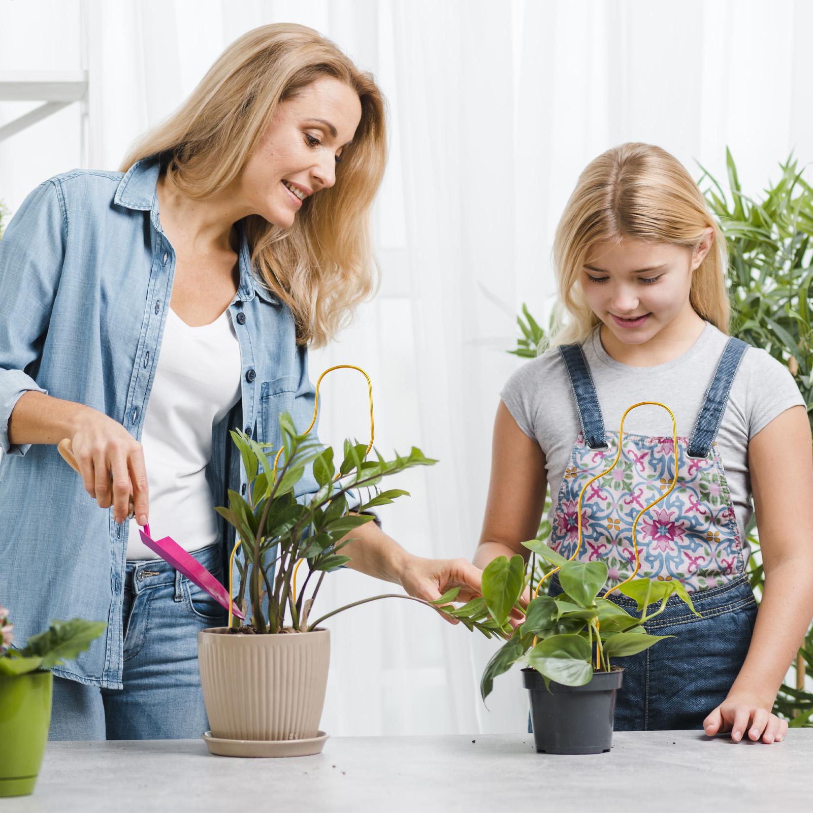 Suporte para Plantas Interno d - Raised Garden Bed avaliação e preço