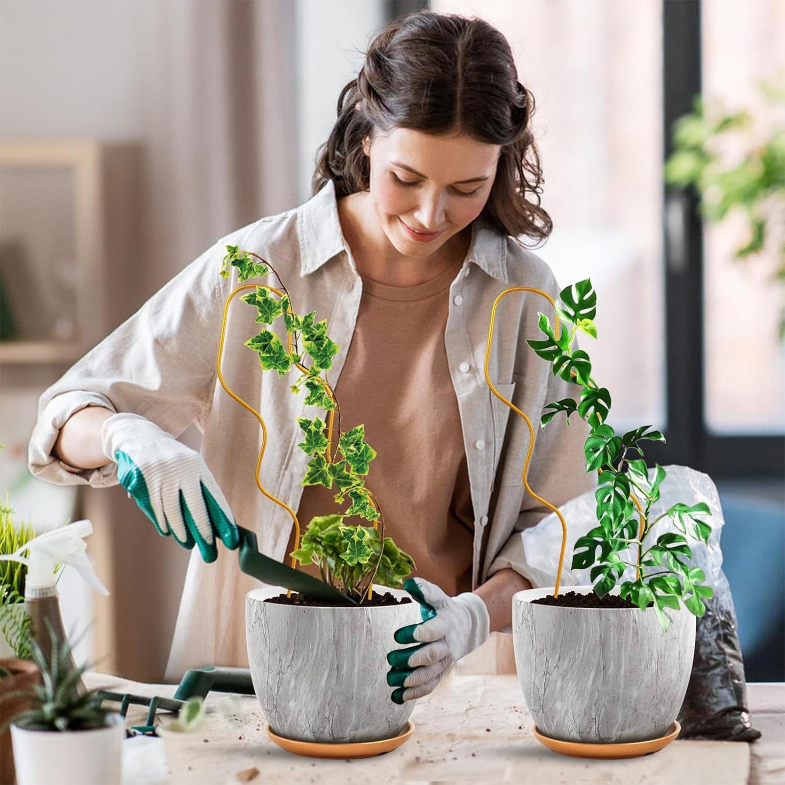 Suporte para Plantas Interno d - Raised Garden Bed avaliação e preço