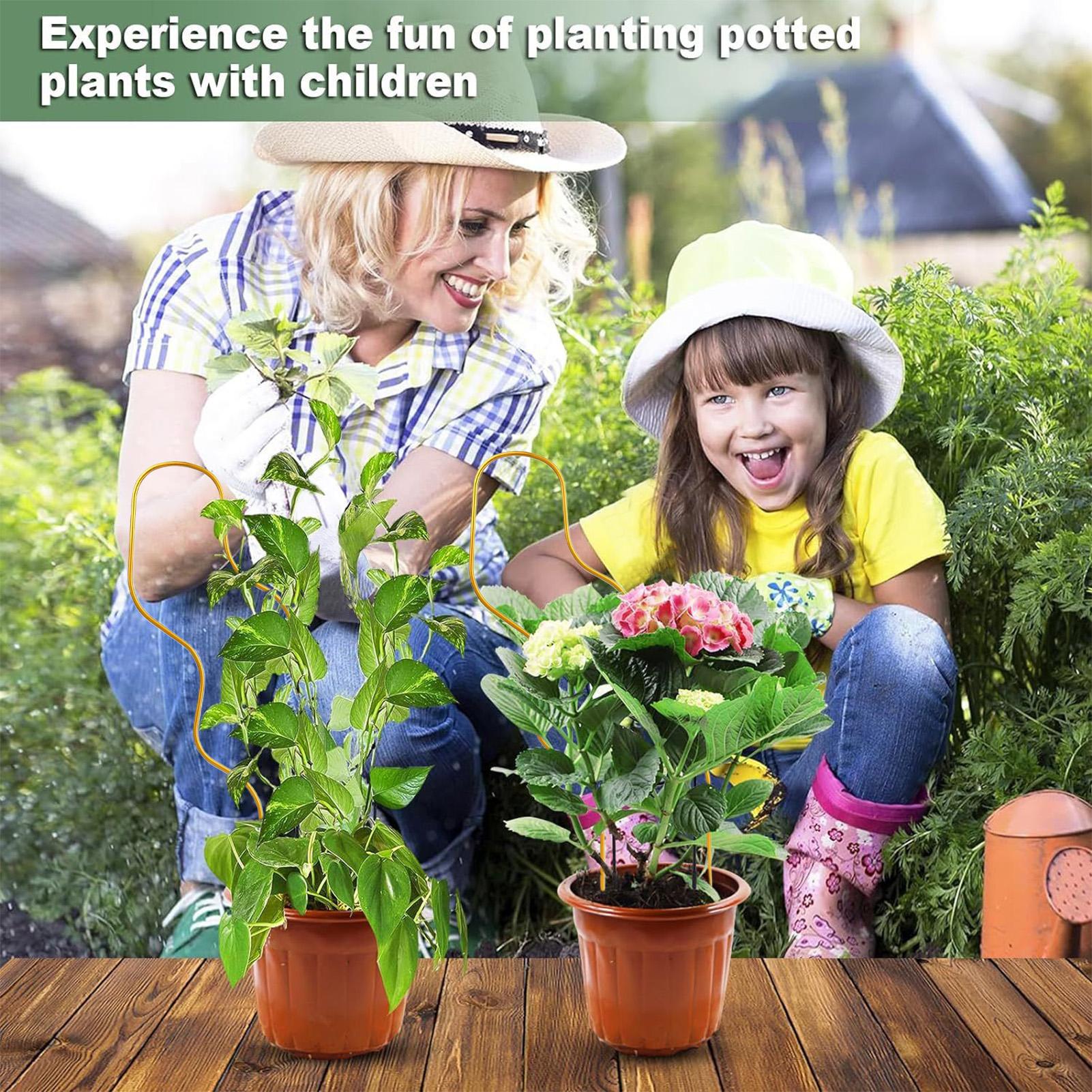 Suporte para Plantas Interno d - Raised Garden Bed avaliação e preço
