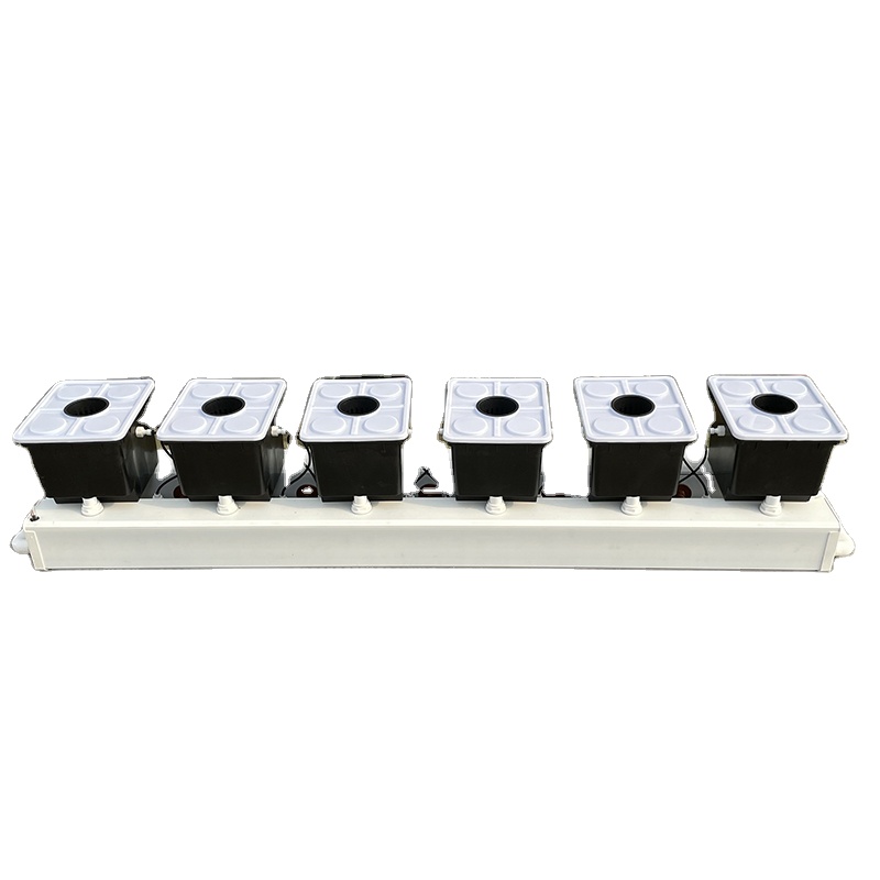 Sistema Hidropônico Dutch Buck - Hydroponic Kit avaliação e preço