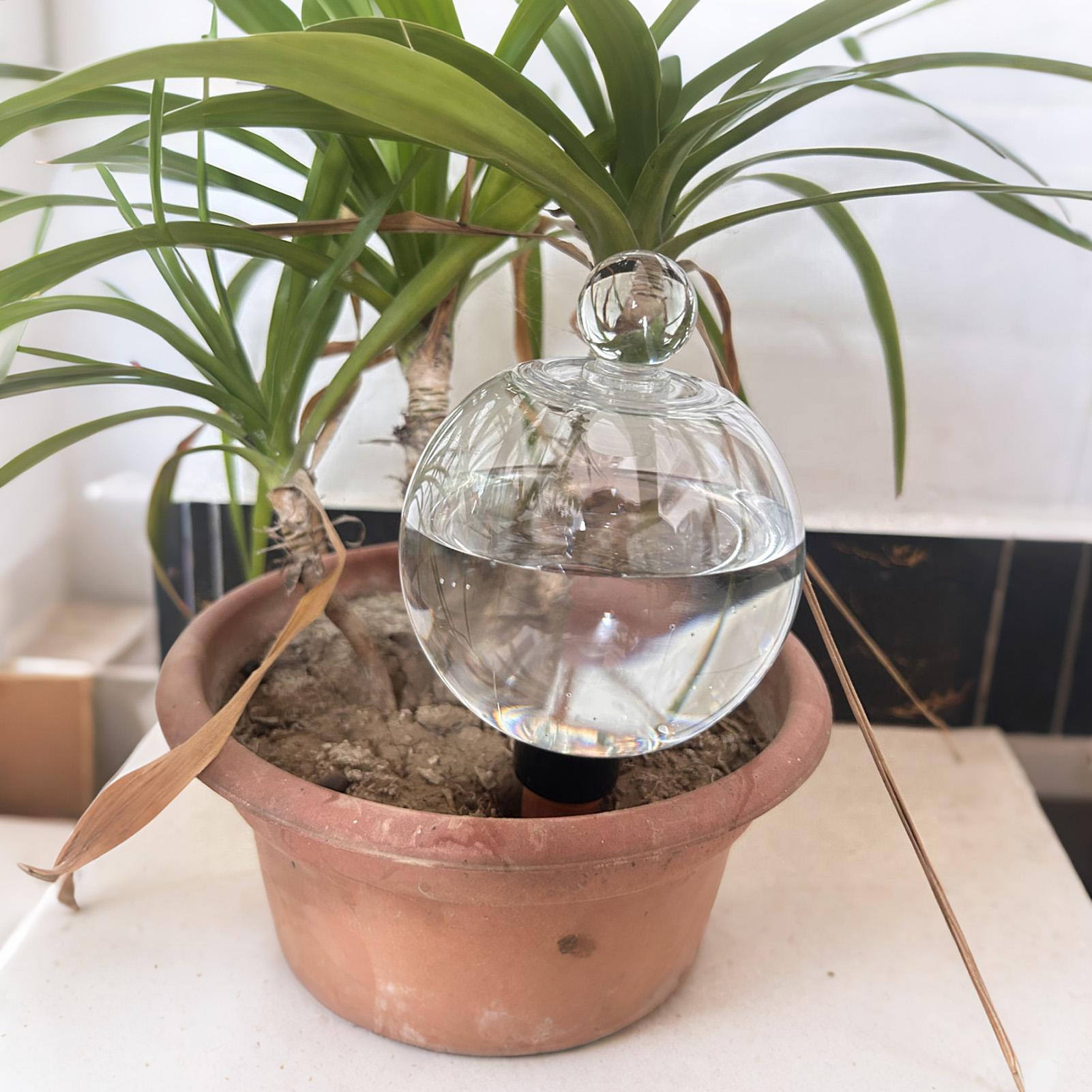 Bolas de Rega Automática para  - Self Watering Planter avaliação e preço
