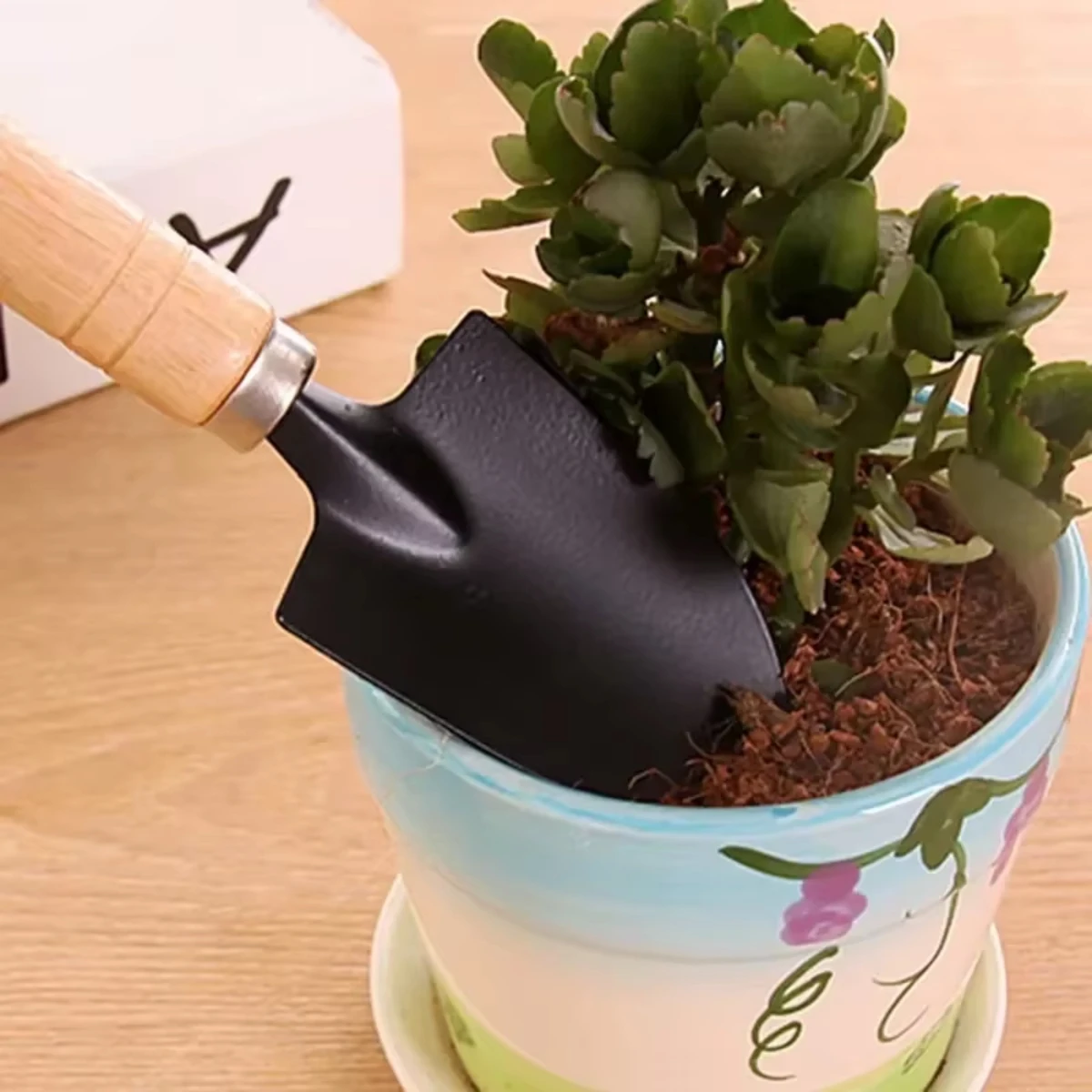 Conjunto de 3 peças de mini fe - Indoor Herb Garden avaliação e preço