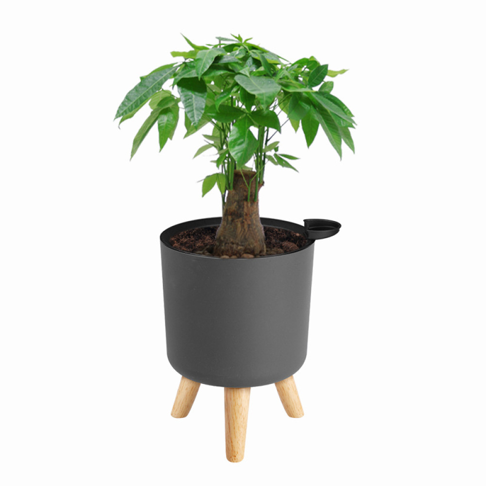 Vaso de Flores Moderno com Aut - Self Watering Planter avaliação e preço