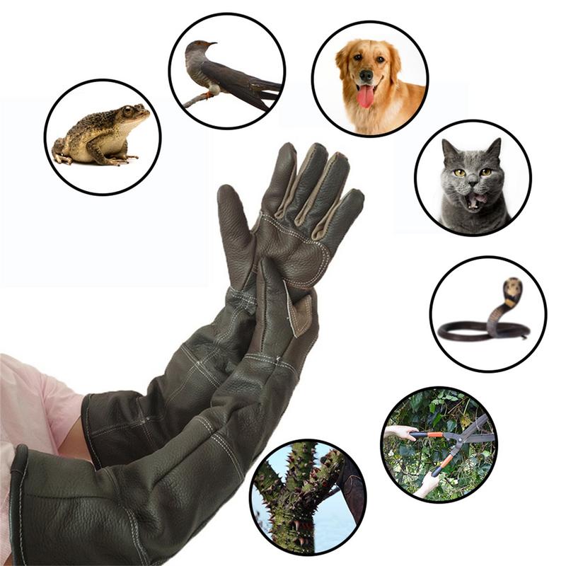 Luvas para animais de estimaçã - Garden Gloves avaliação e preço