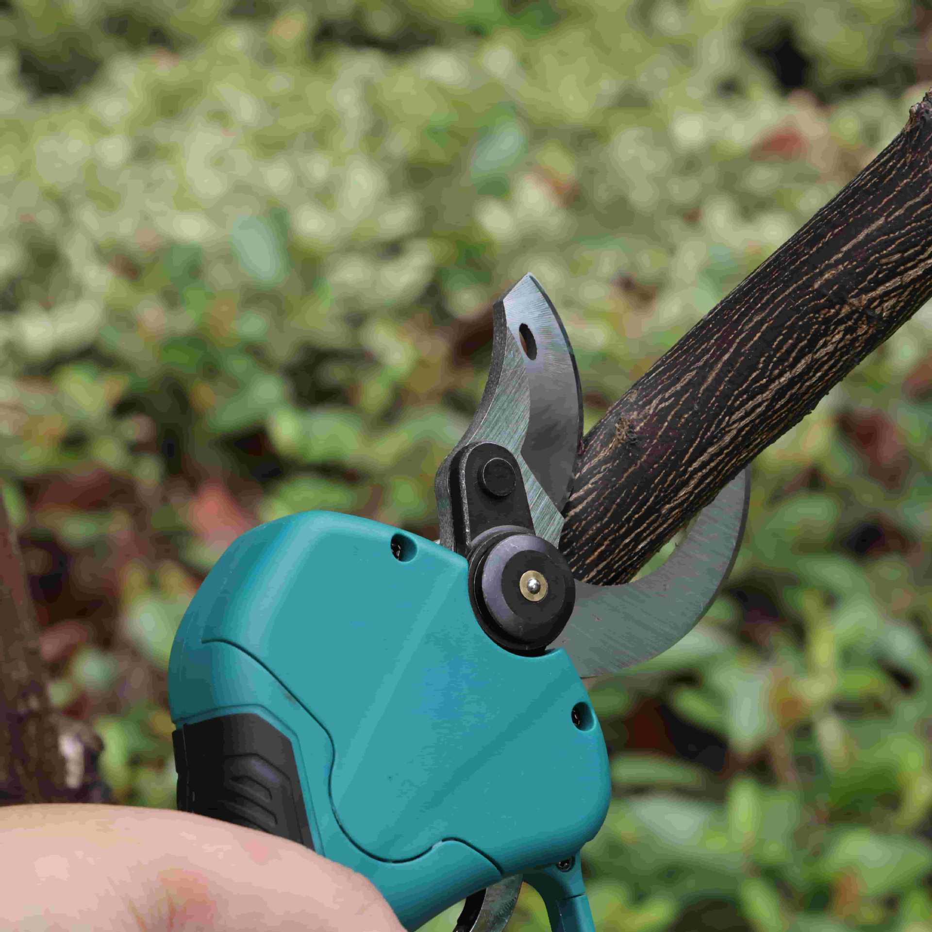 Tesoura de poda de jardim de a - Pruning Shears avaliação e preço