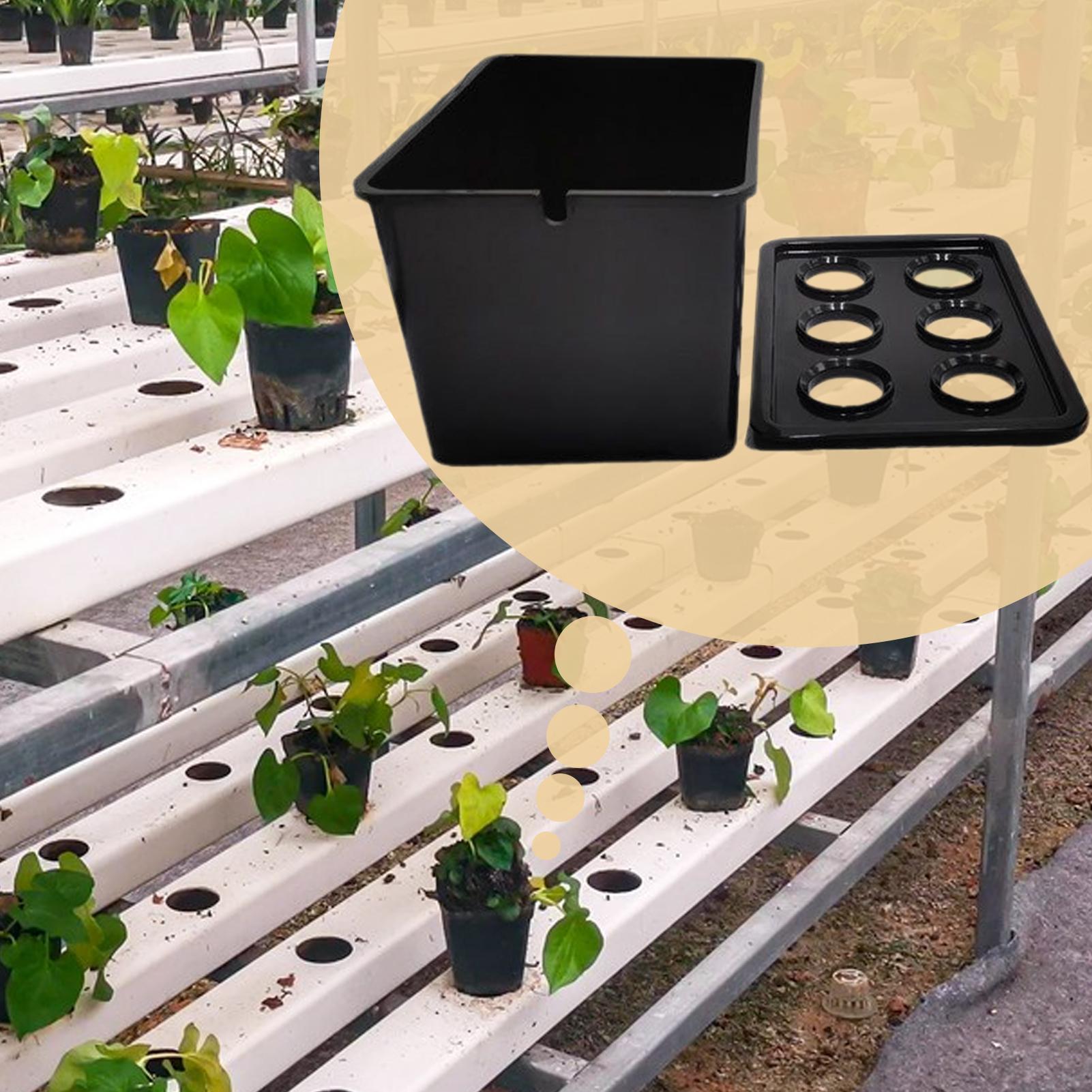 Kit de plantio hidropônico par - Hydroponic Kit avaliação e preço