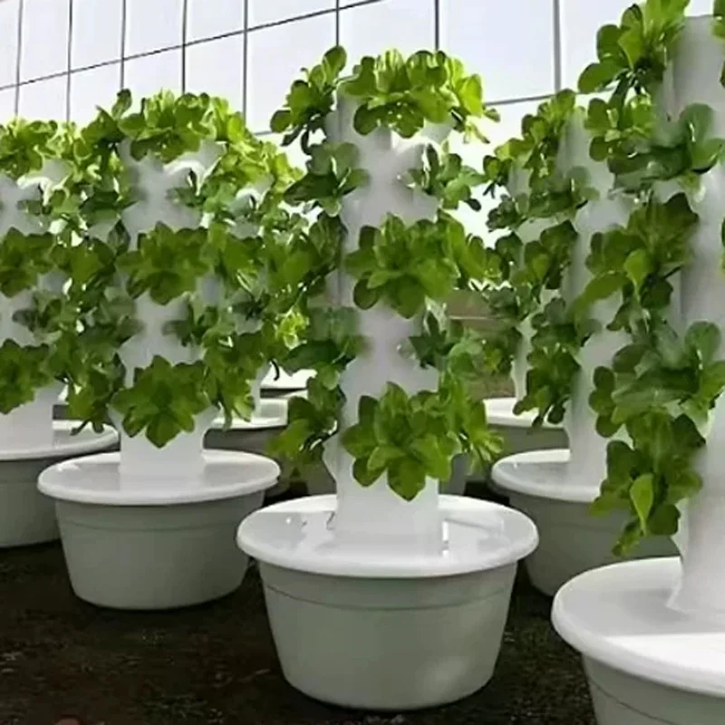 Sistema de Kit de Cultivo Hidr - Hydroponic Kit avaliação e preço