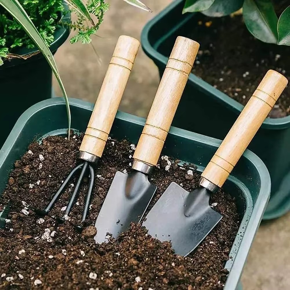 Conjunto de ferramentas de jar - Indoor Herb Garden avaliação e preço