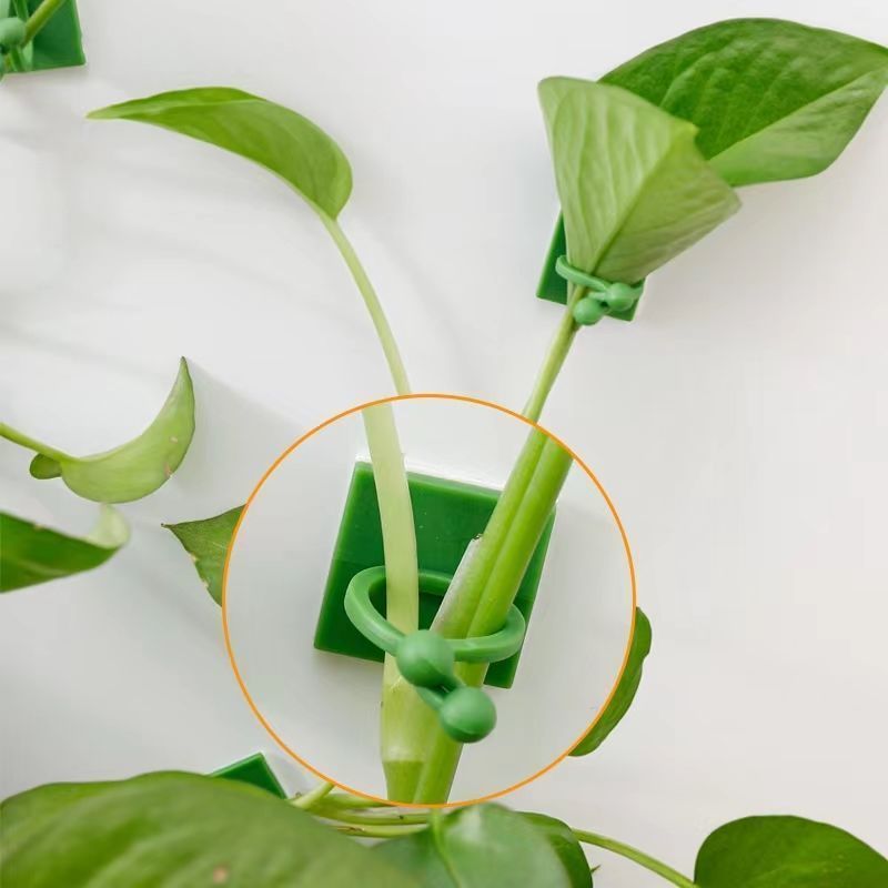 Clipes Autoadesivos para Fixaç - Indoor Herb Garden avaliação e preço