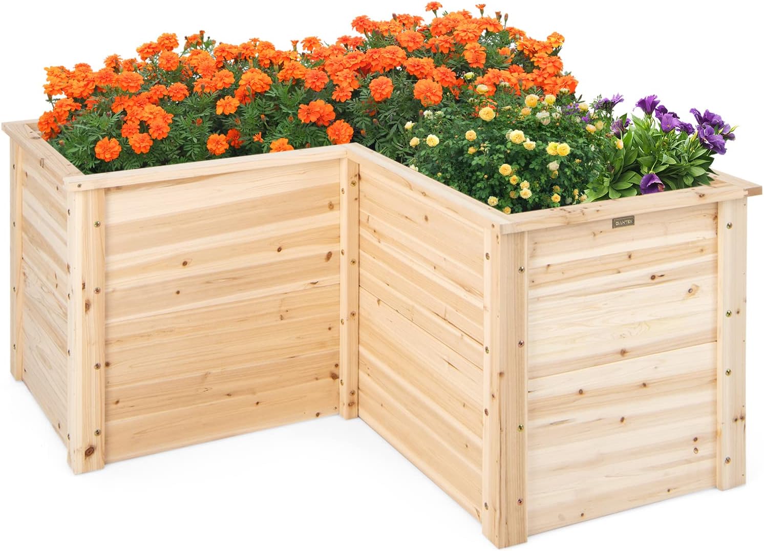 Canteiro Elevado de Madeira Ma - Raised Garden Bed avaliação e preço