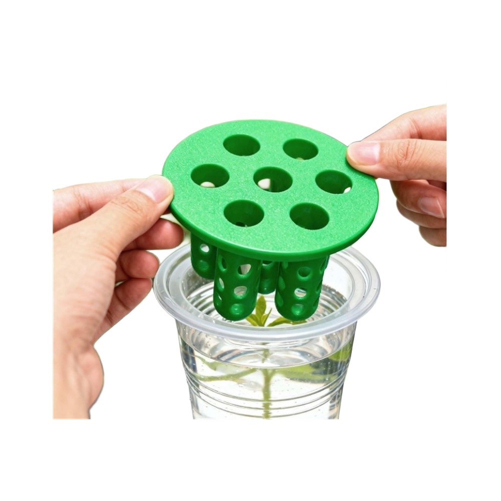 Kit de Germinação de Cebolinha - Hydroponic Kit avaliação e preço
