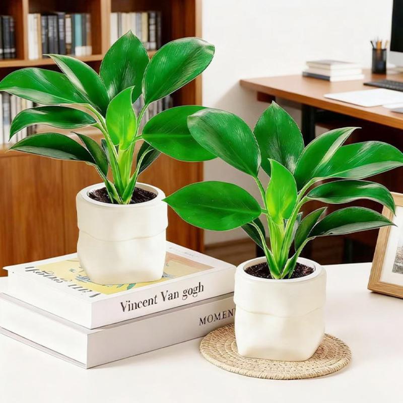 Mini vaso autoirrigável para f - Plant Pot avaliação e preço