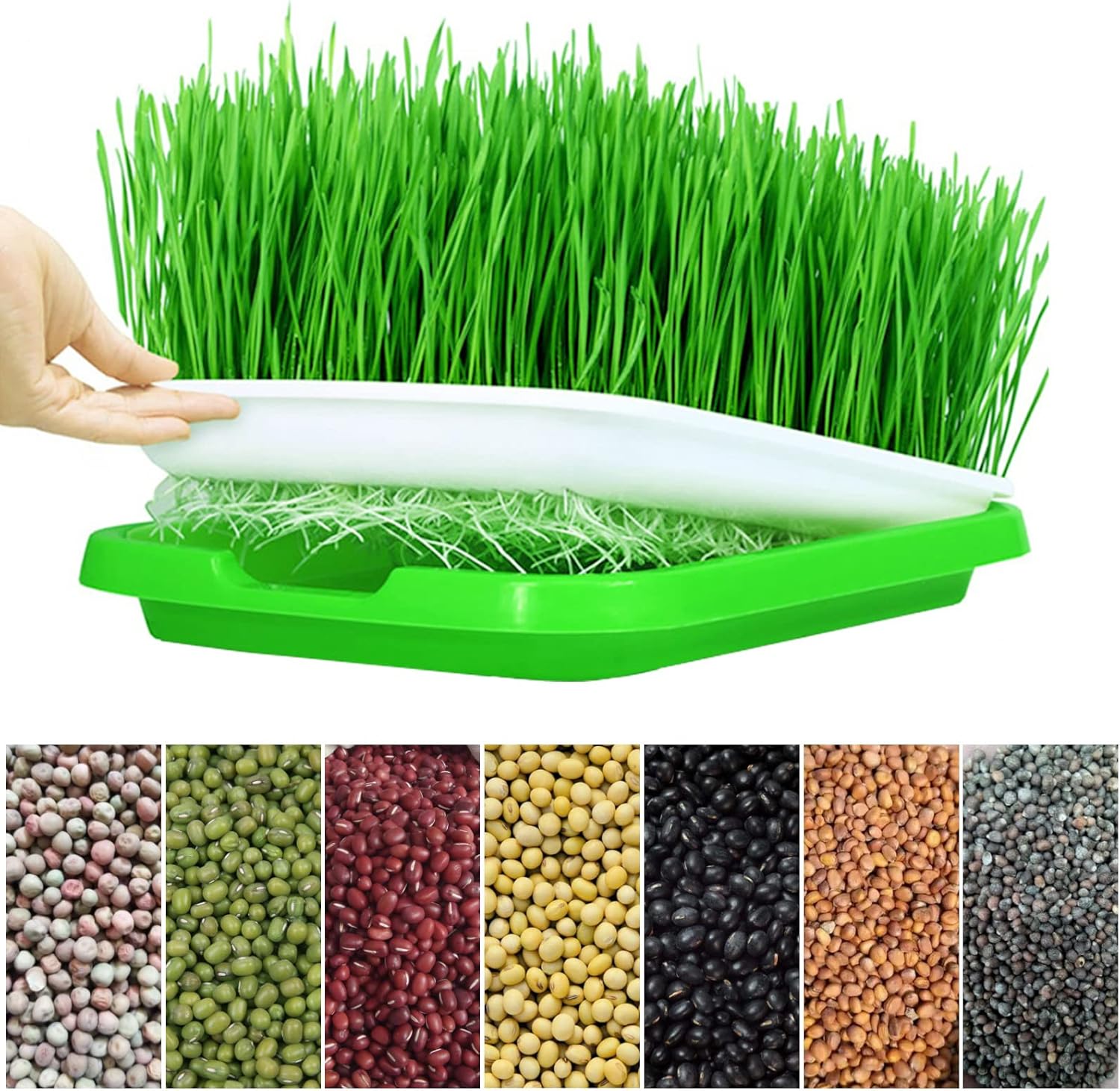 Bandeja de germinação microgre - Seed Starter Tray avaliação e preço