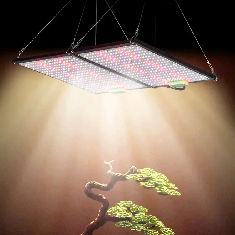 Luz de Cultivo LED Quantum-Boa - Grow Light Led avaliação e preço