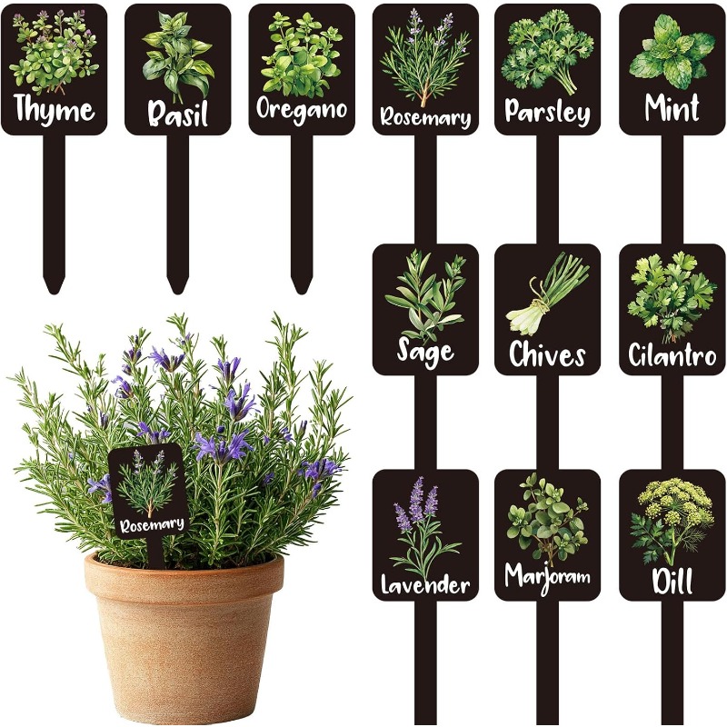 Conjunto de 24 etiquetas para  - Indoor Herb Garden avaliação e preço