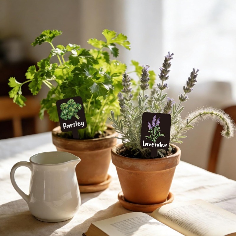 Conjunto de 24 etiquetas para  - Indoor Herb Garden avaliação e preço