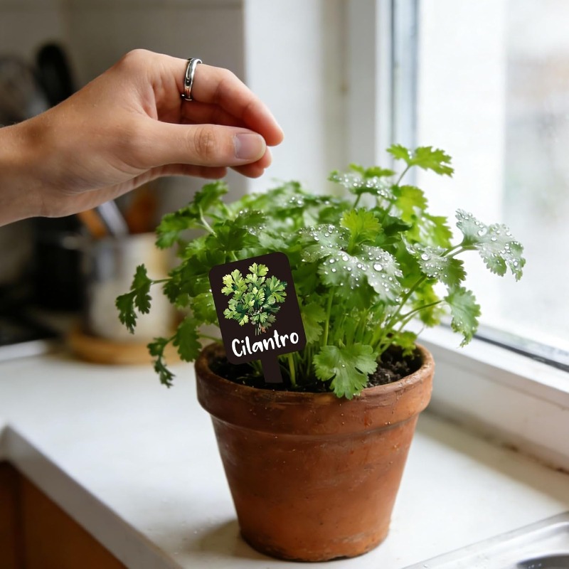 Conjunto de 24 etiquetas para  - Indoor Herb Garden avaliação e preço