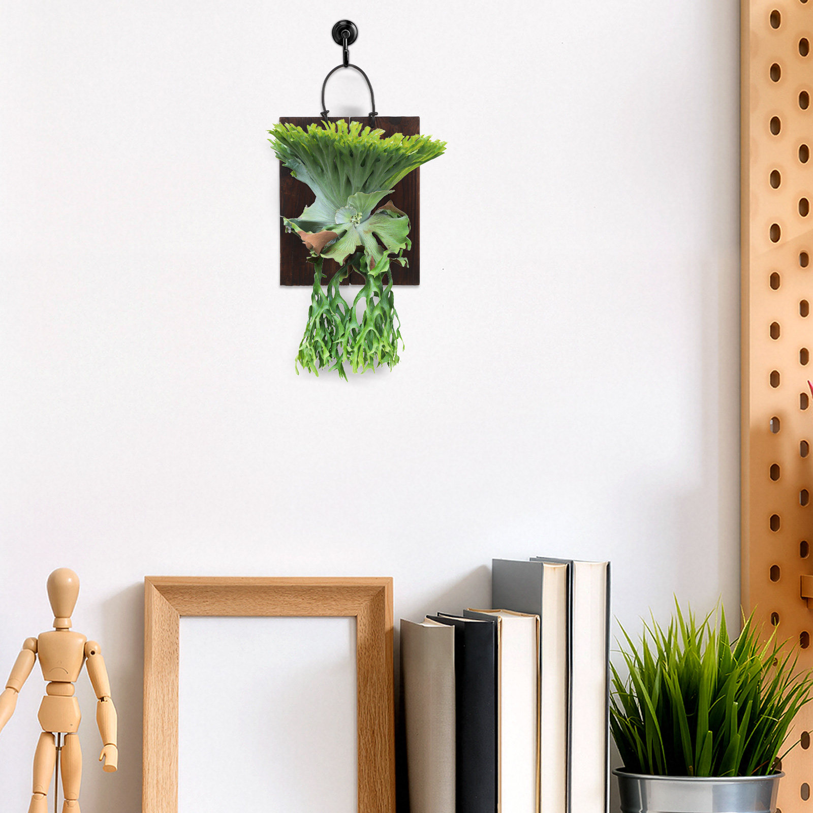 Placa de Montagem para Samamba - Vertical Planter avaliação e preço